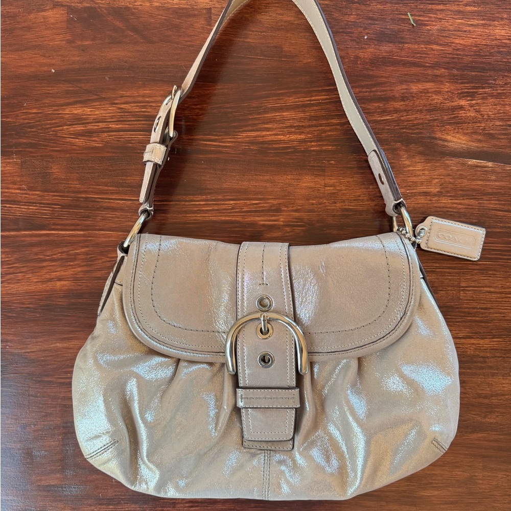 Coach Metallic Silver SoHo